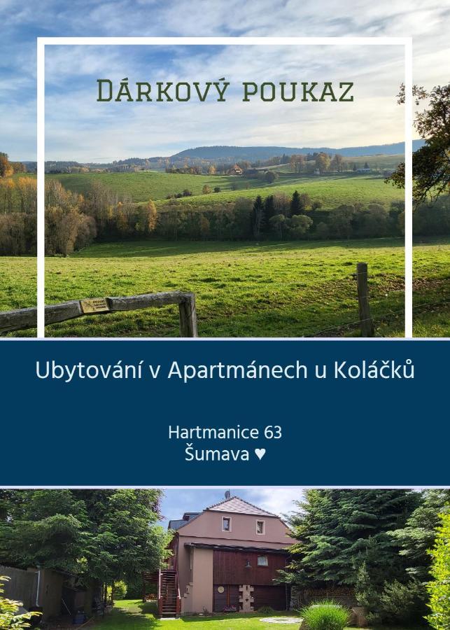 Apartmany U Kolacku Hartmanice  Zewnętrze zdjęcie